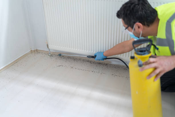 Best Mosquito Control Services  in Centre Hall, PA