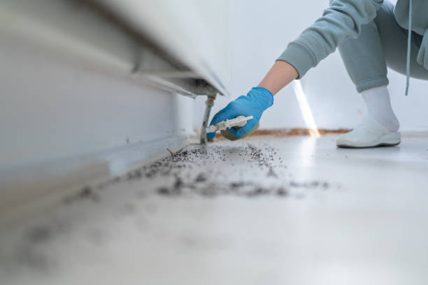 Trusted Centre Hall, PA Pest Control Experts
